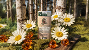 Birchwood Breeze Invisible Glide Deodorant - Bright Scent