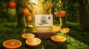 Gold Moss - Smooth Touch