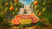 Grapefruit IPA - Fresh Routine