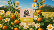 Mountain Meadow - Simple Touch