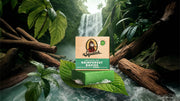 Rainforest Rapids - Soft Glow