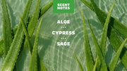 Cool Fresh Aloe - Easy Care
