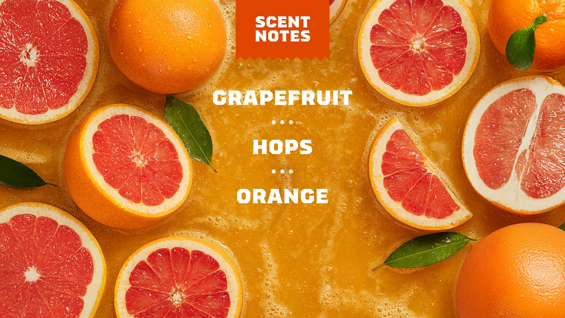 Grapefruit IPA - Fresh Routine