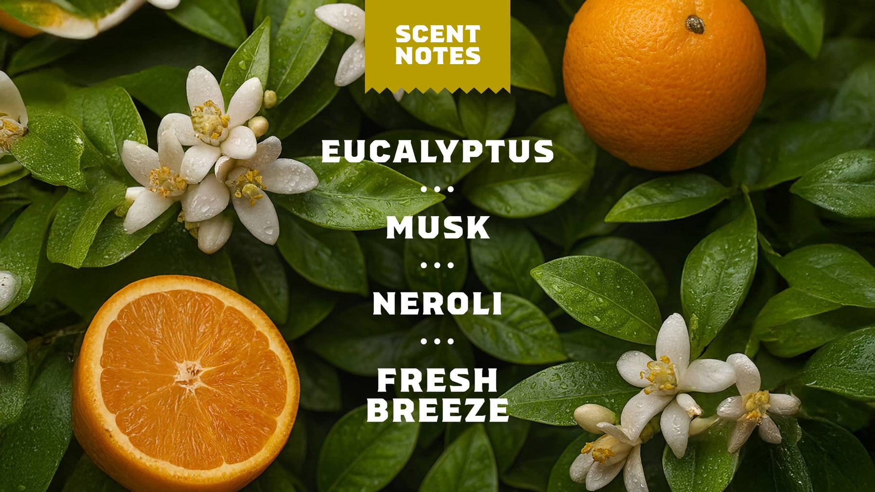 Mountain Meadow - Simple Touch