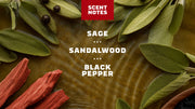 Sandalwood Summit Invisible Glide Deodorant - Modern Blend
