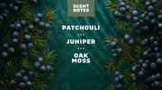 Sierra Storm Invisible Glide Deodorant - Clean Mood