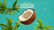 Coconut Castaway Deodorant - Fresh Start