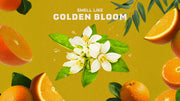 Mountain Meadow - Simple Touch