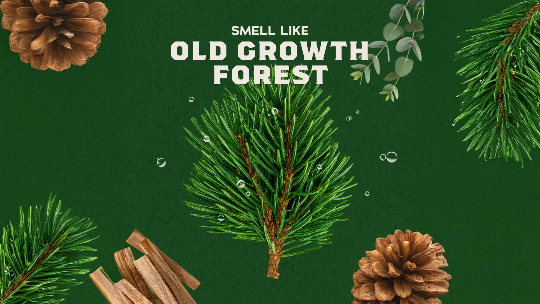 Pine Tar Spray Deodorant - Home Glow