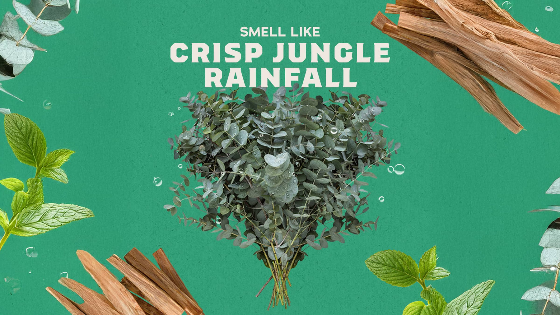 Rainforest Rapids Refreshing Face Wash - Soft Glow