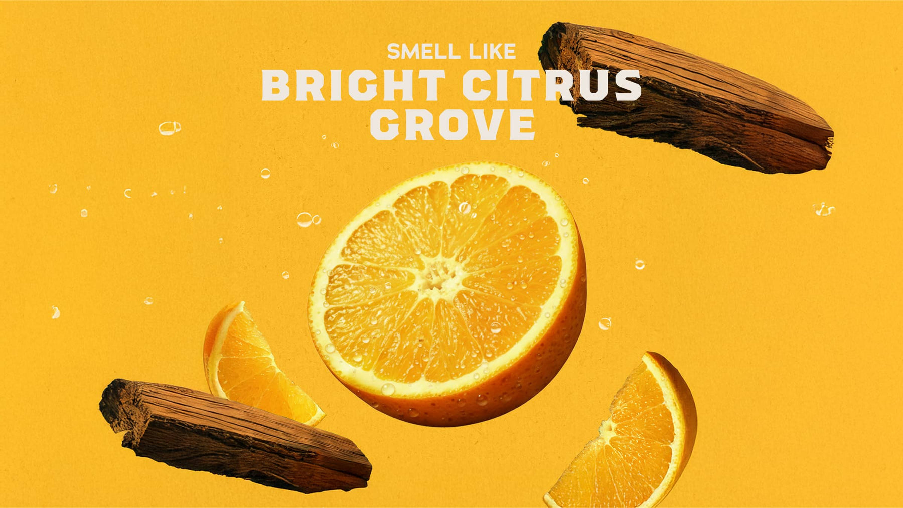 Summer Citrus Conditioner - Daily Scent